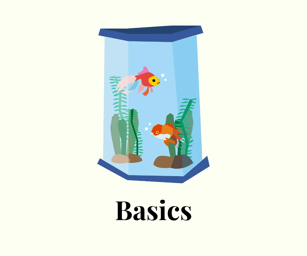 aquarium basics