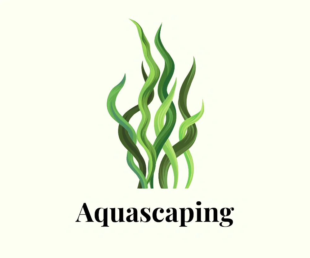 aquascaping