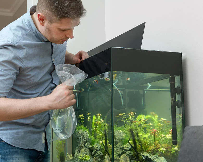 How To Quarantine Fish - Acclimating Fish